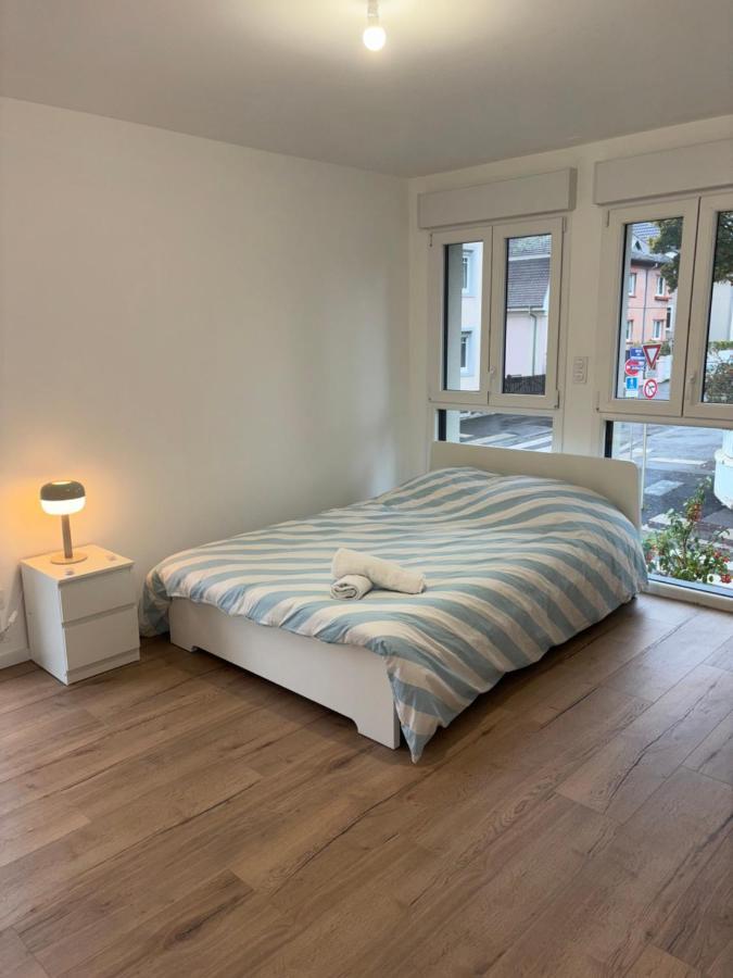 Appartement + Parking + Terrasse Mulhouse Eksteriør billede