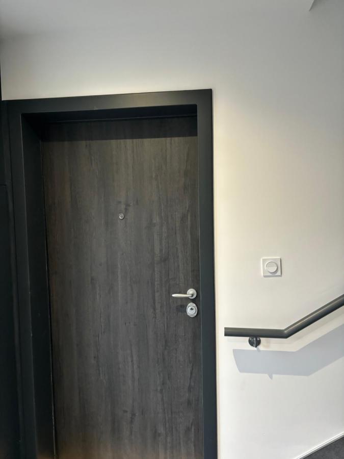Appartement + Parking + Terrasse Mulhouse Eksteriør billede