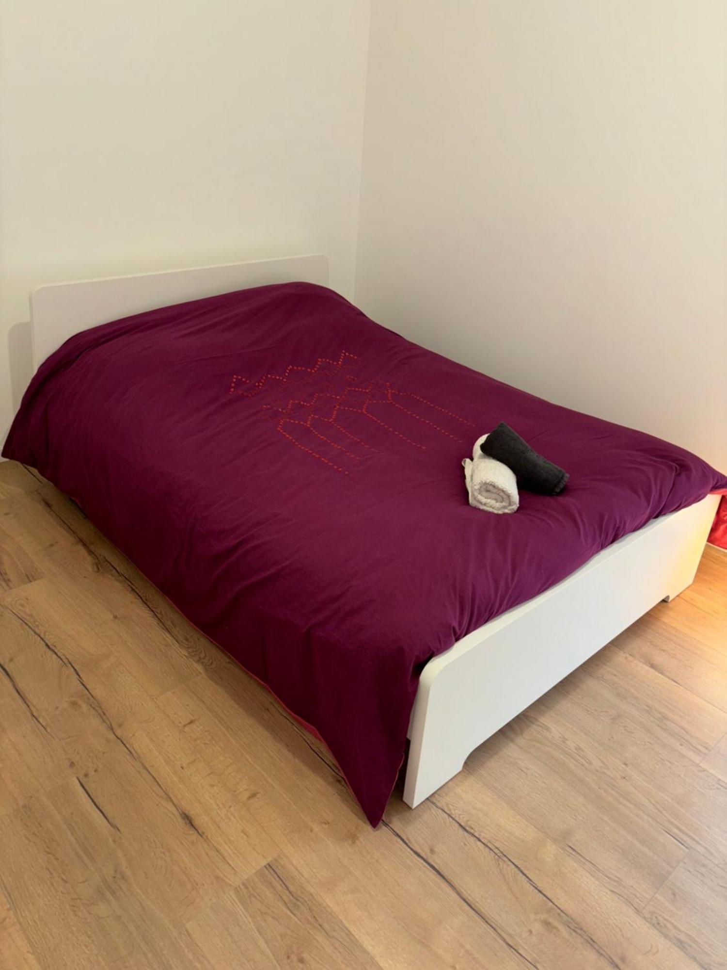 Appartement + Parking + Terrasse Mulhouse Eksteriør billede